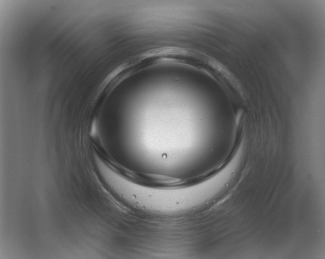 X0000064761321200602101213