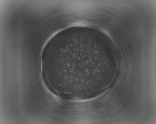 X0000064761323200602101213