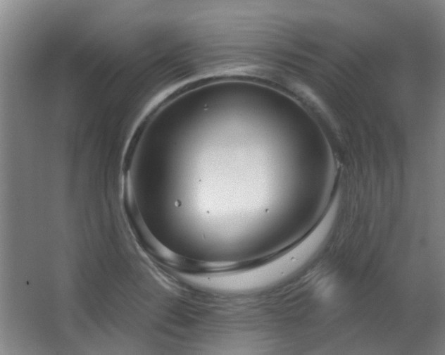 X0000064761324200602101213