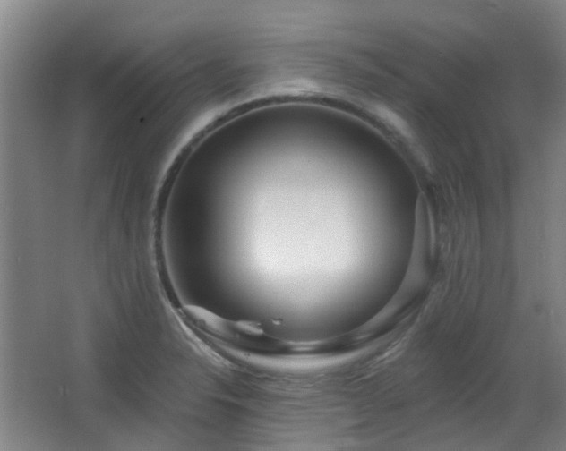 X0000064761326200602101213