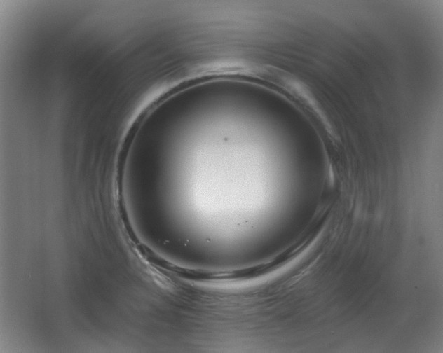 X0000064761328200602101213