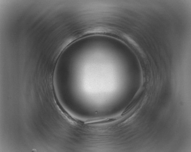 X0000064761329200602101213