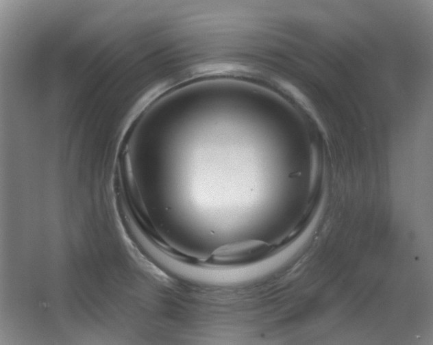X0000064761330200602101213