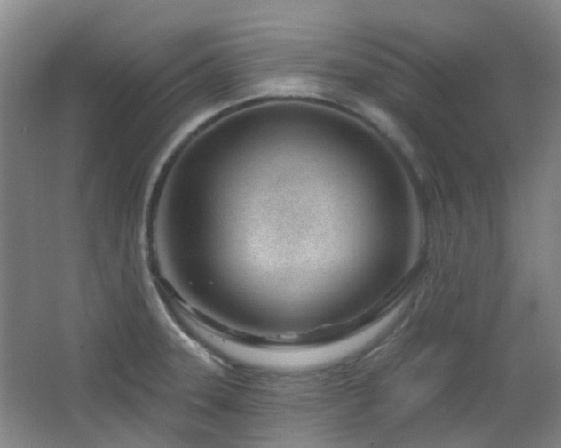 X0000064761331200602101213