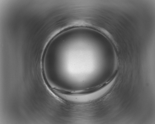 X0000064761335200602101213