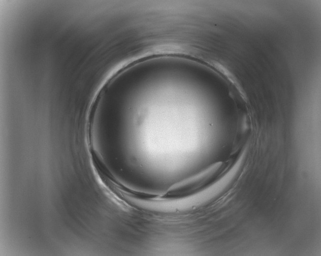X0000064761342200602101213