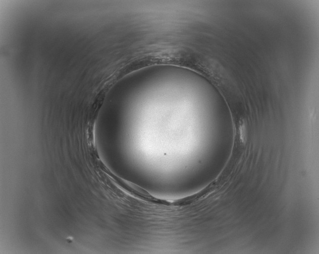 X0000064761347200602101212