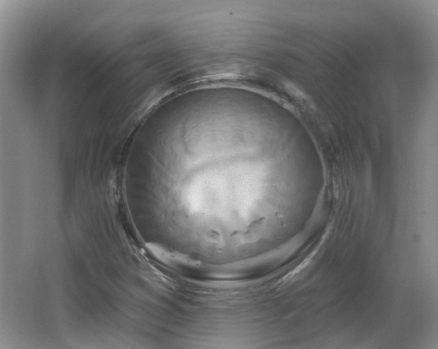X0000064761353200602101212