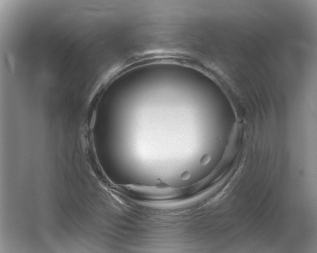 X0000064761357200602101212