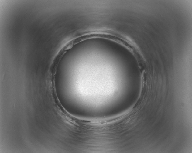 X0000064761360200602101212