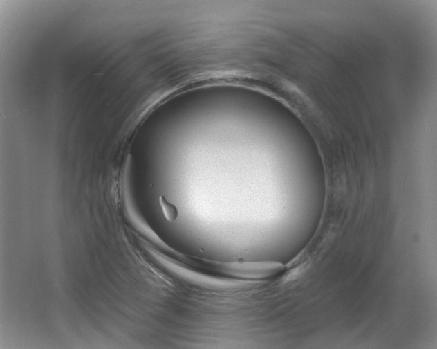 X0000064761361200602101212