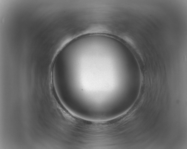 X0000064761366200602101212