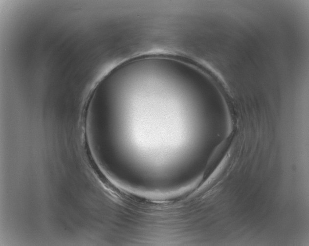 X0000064761367200602101212