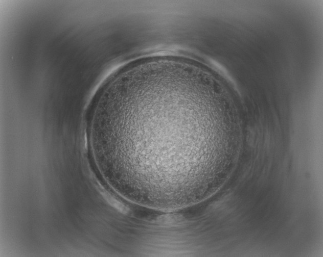 X0000064761368200602101212