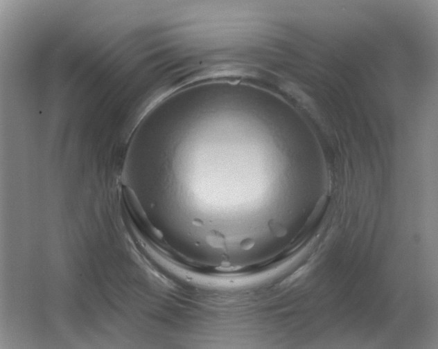 X0000064761369200602101212
