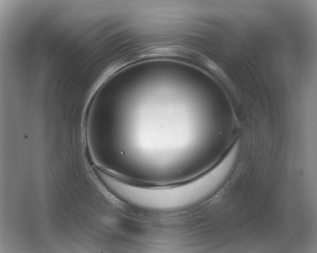 X0000064761370200602101212