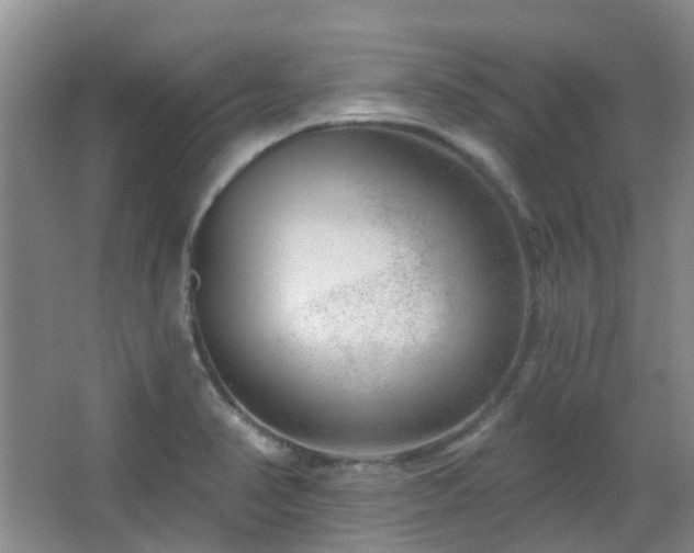 X0000064761374200602101212
