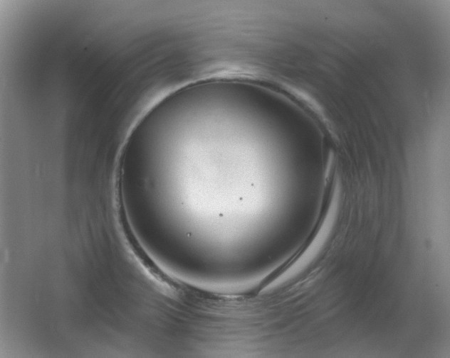 X0000064761375200602101212