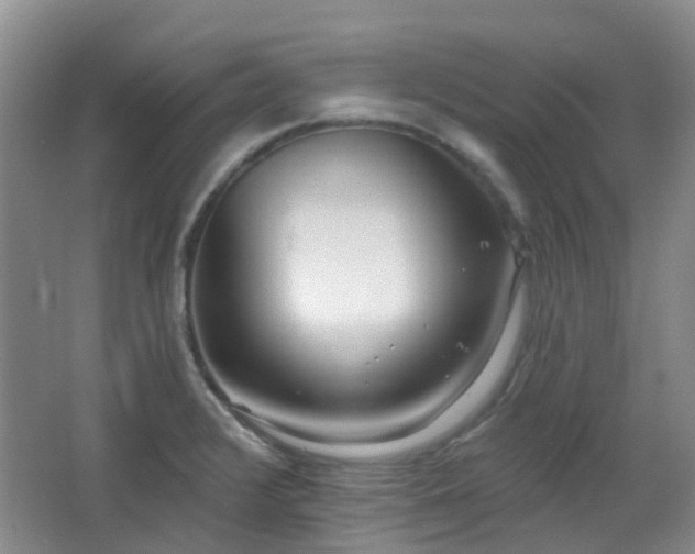 X0000064761376200602101212