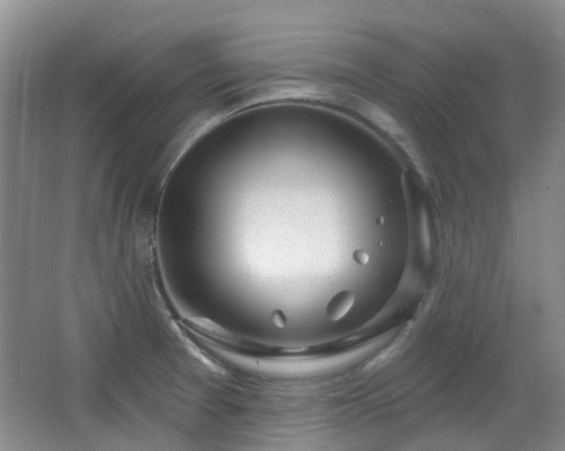 X0000064761377200602101212