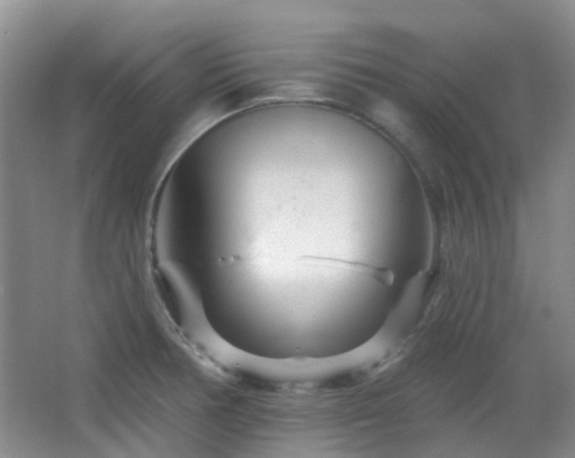 X0000064761378200602101212