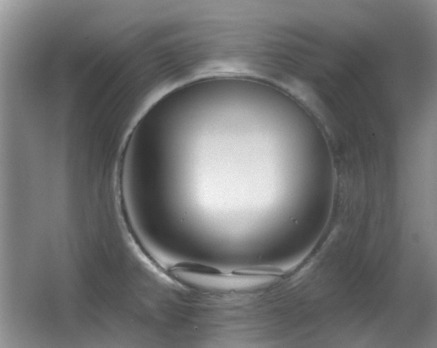 X0000064761382200602101212