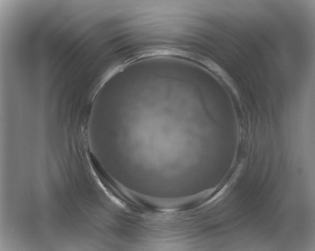 X0000064761385200602101212