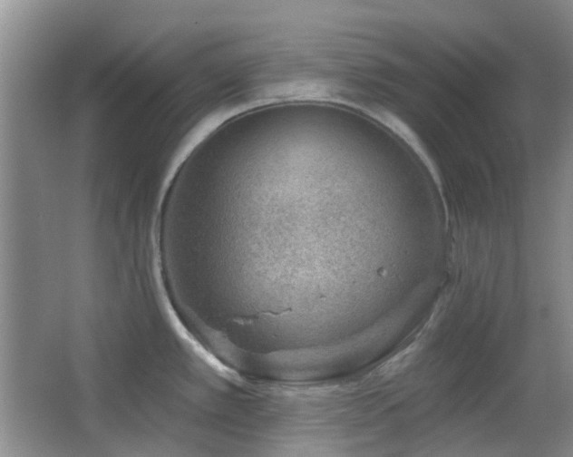 X0000064761389200602101212