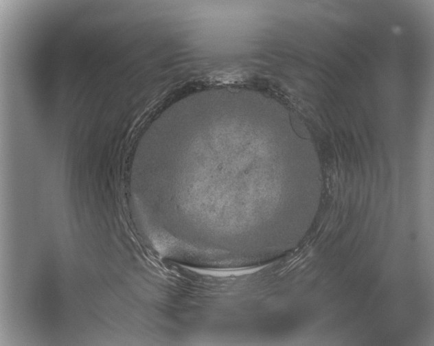 X0000064761393200602101211
