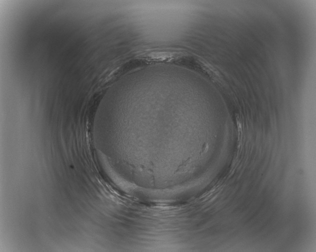 X0000064761394200602101211