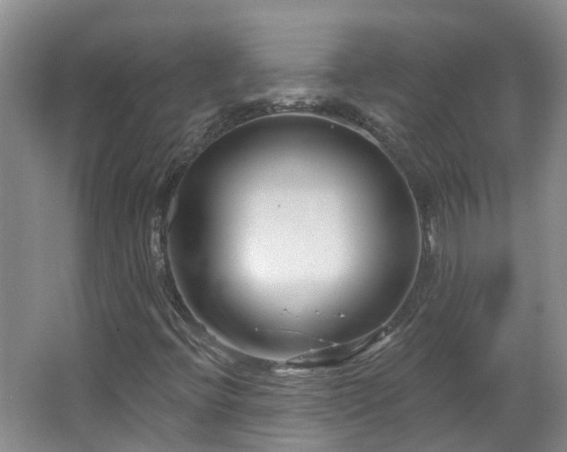X0000064761396200602101211