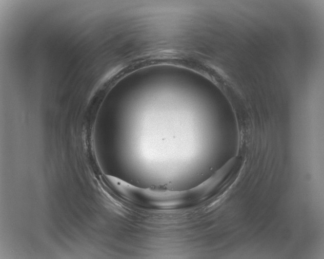 X0000064761402200602101211