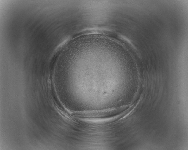 X0000064761403200602101211