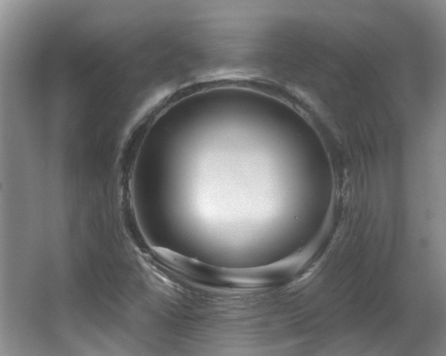 X0000064761406200602101211