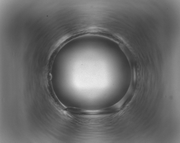 X0000064761410200602101211