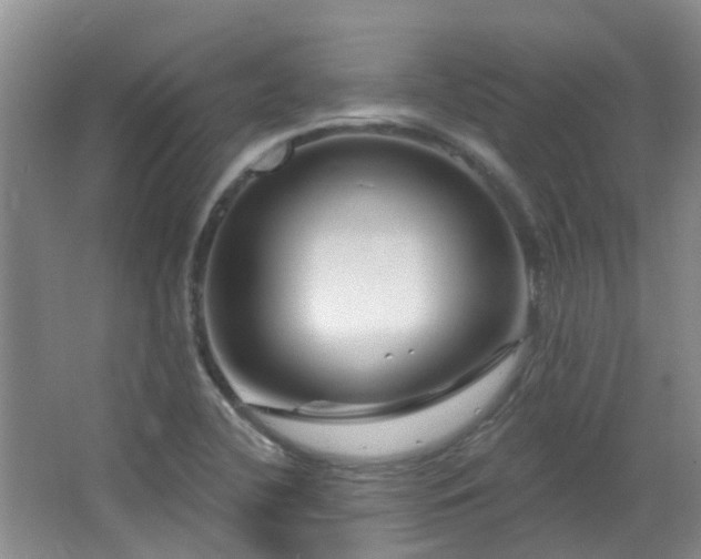 X0000064761412200602101211