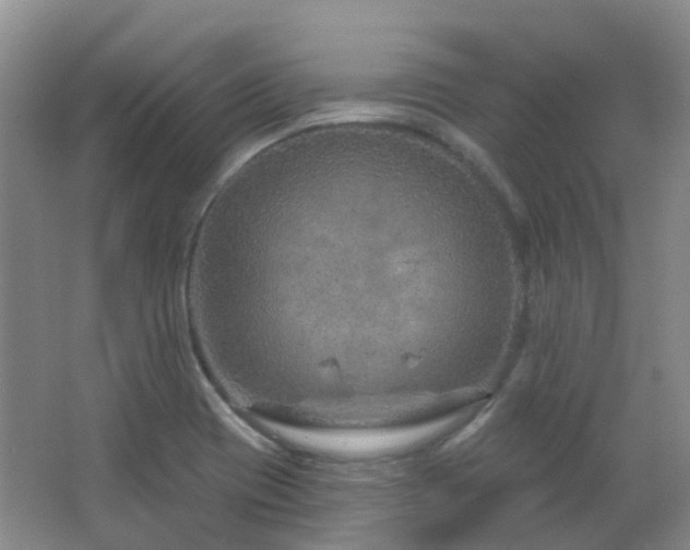 X0000064761417200602101211