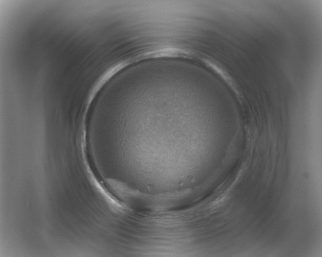 X0000064761418200602101211