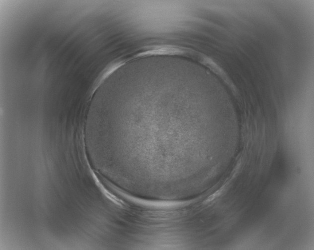X0000064761425200602101211