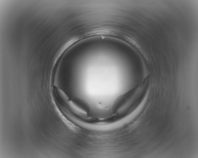 X0000064761426200602101211