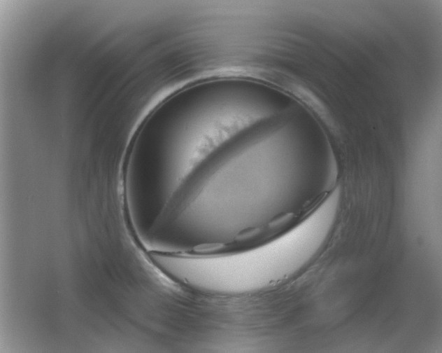 X0000064761428200602101211