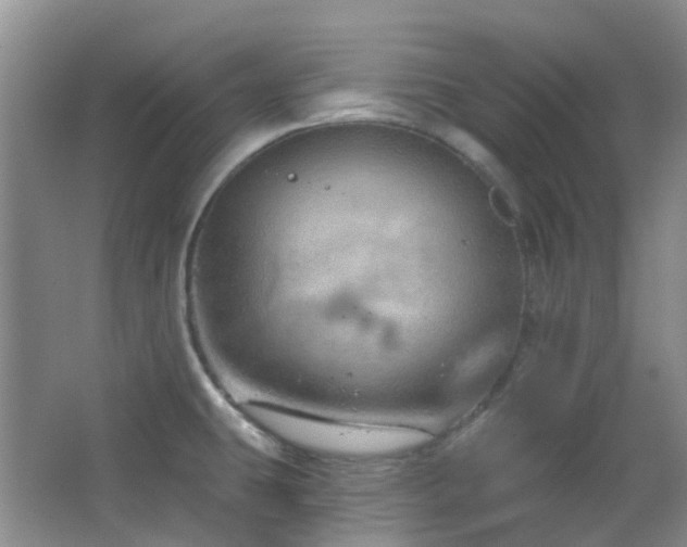 X0000064761431200602101212