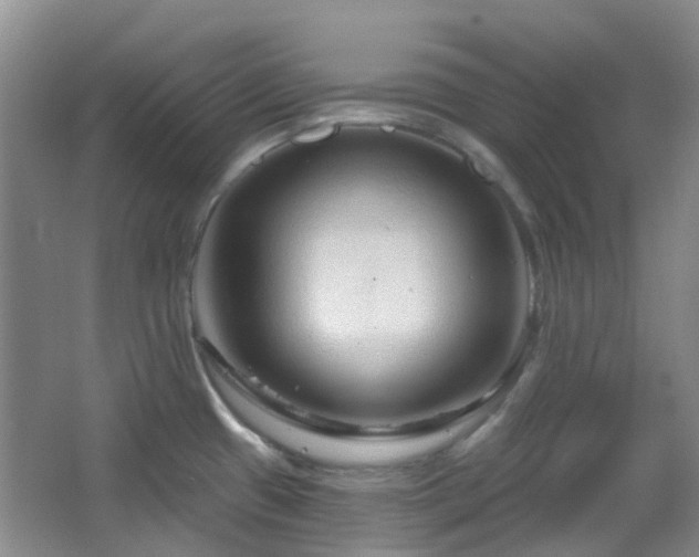 X0000064761433200602101212