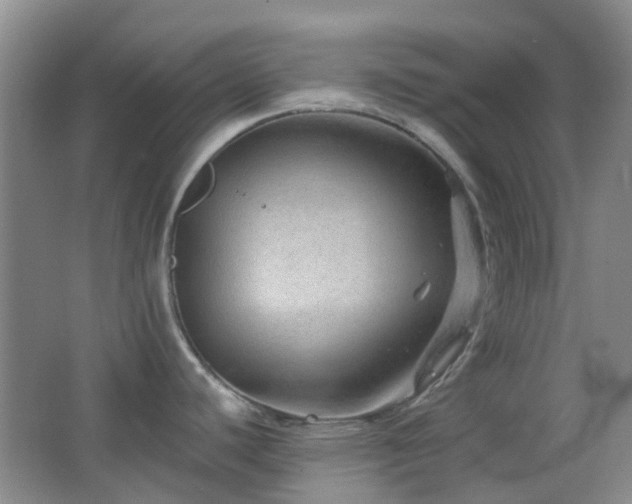 X0000064761440200602101212