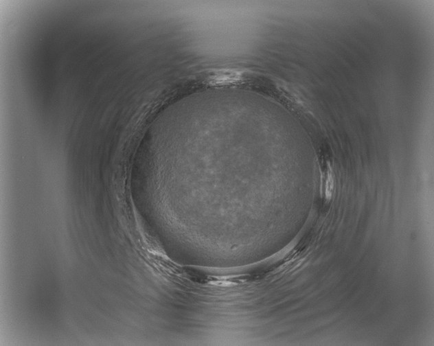 X0000064761441200602101211