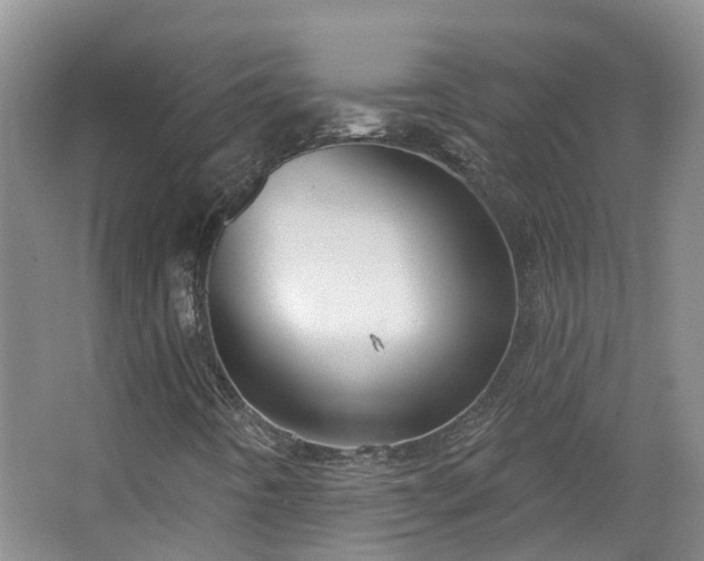 X0000064761442200602101211