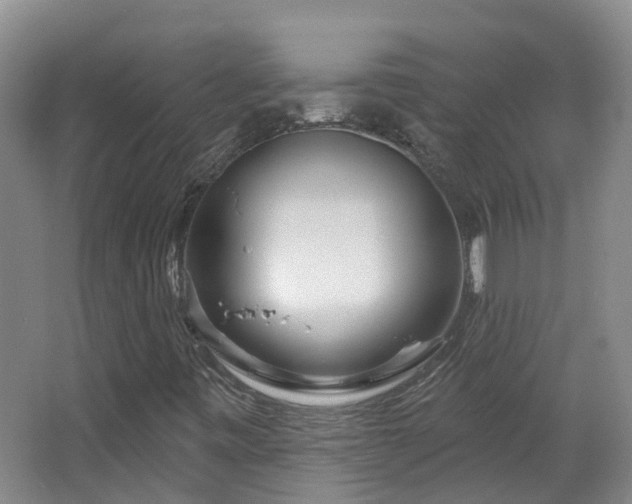 X0000064761443200602101211