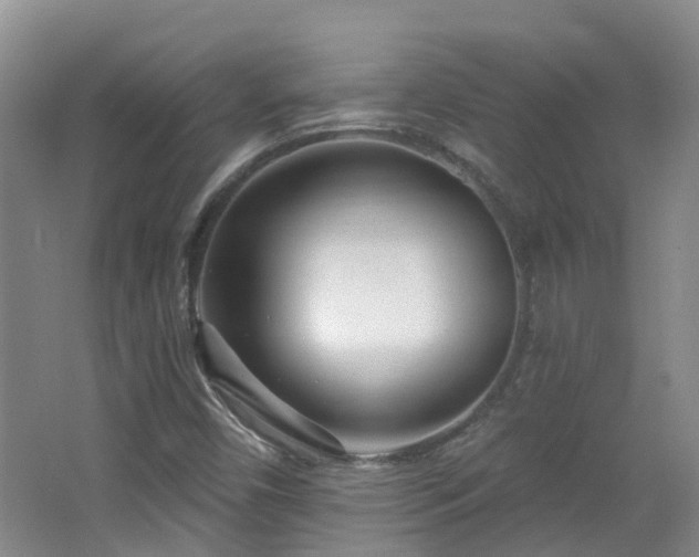 X0000064761450200602101211