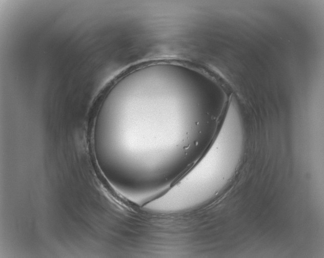 X0000064761452200602101211