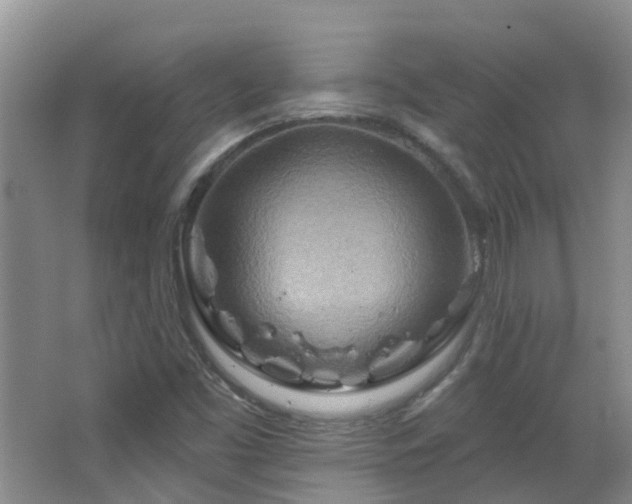 X0000064761453200602101211